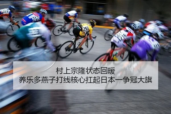 cun-shang-zong-long-zhuang-tai-hui-nuan-yang-le-duo-yan-zi-da-xian-he-xin-kang-qi-ri-ben-yi-zheng-guan-da-qi-2-437.jpg